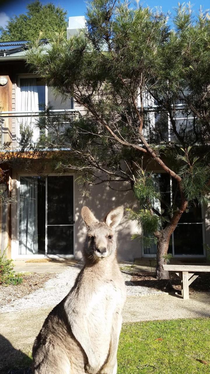 Auberge de jeunesse Yha Grampians Eco, Halls Gap Extérieur photo